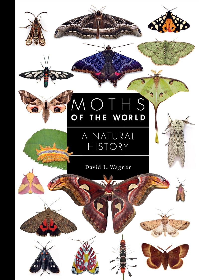 Moths of the World/Product Detail/Animals & Nature