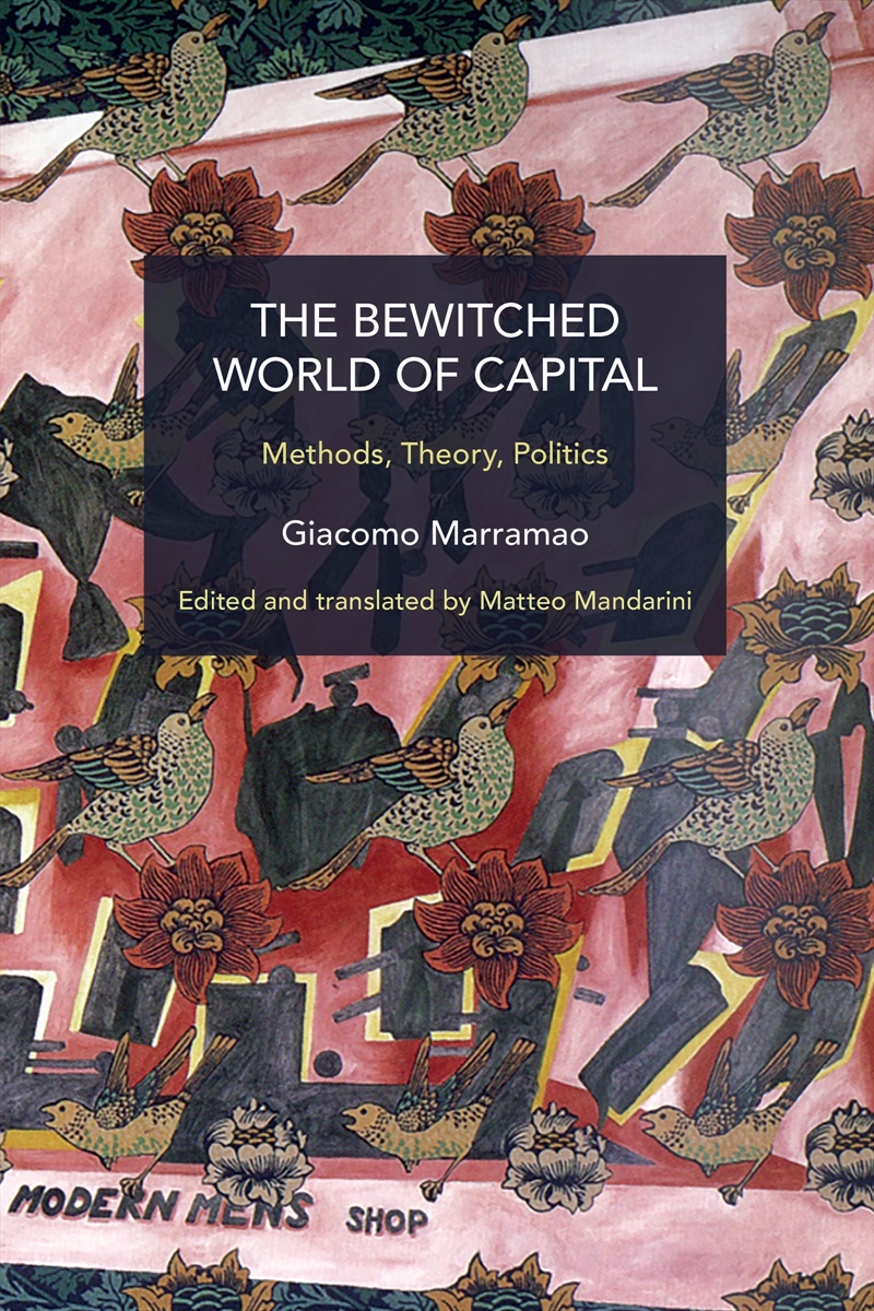 The Bewitched World of Capital/Product Detail/Society & Culture