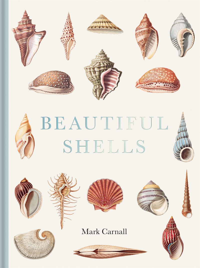 Beautiful Shells/Product Detail/Animals & Nature