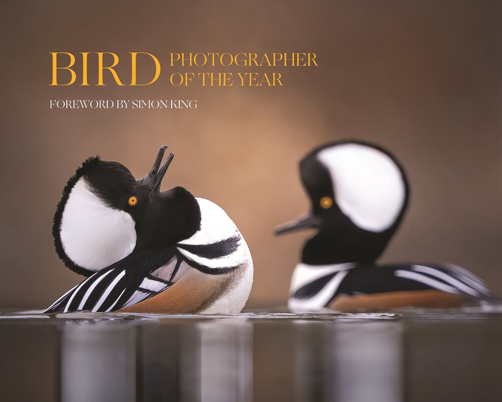 Bird Photographer of the Year/Product Detail/Photography