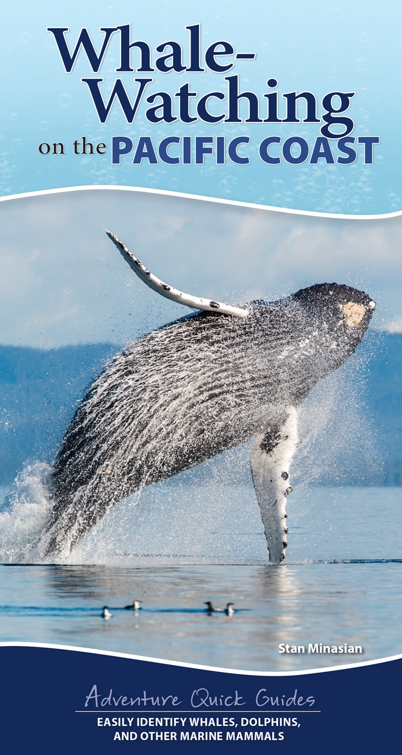 Whale Watching on the Pacific Coast/Product Detail/Animals & Nature