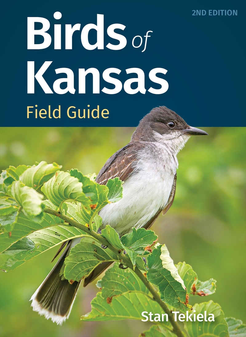 Birds of Kansas Field Guide/Product Detail/Animals & Nature