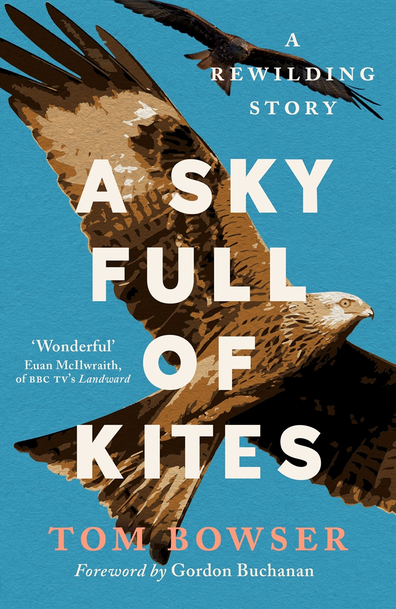 A Sky Full of Kites/Product Detail/Animals & Nature