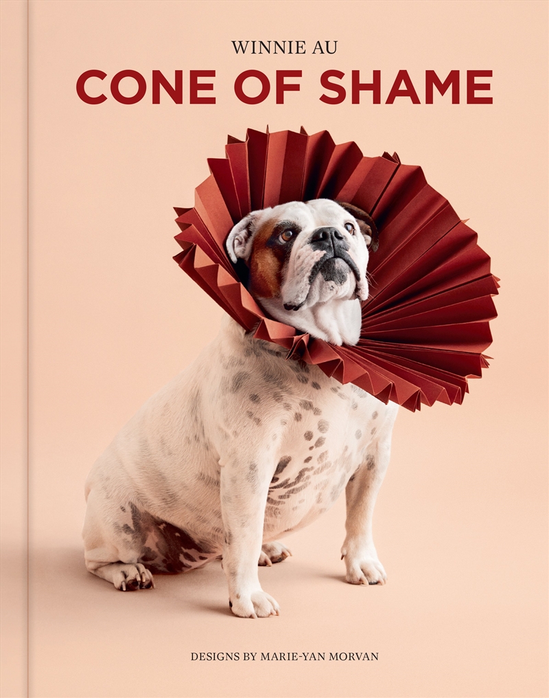 Cone of Shame/Product Detail/Animals & Nature