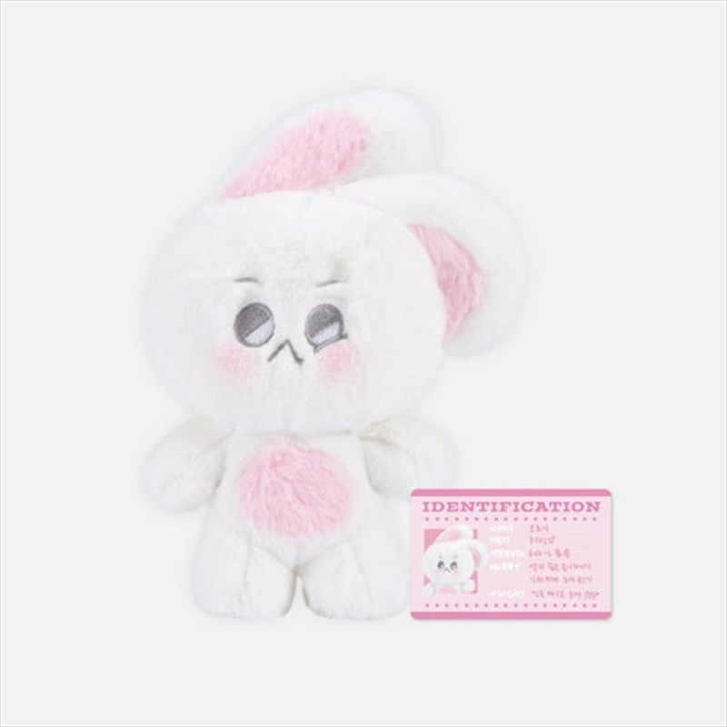 Suho - Su : Home 2024 Suho Concert Official MD 20Cm Voice Doll/Product Detail/KPOP Merch