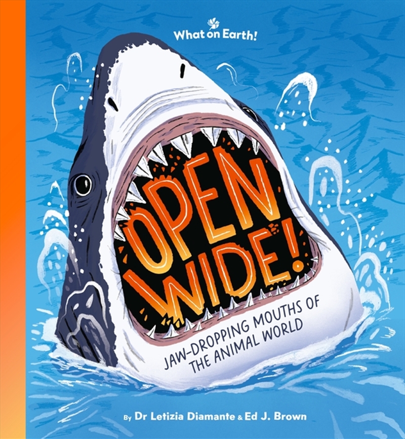 Open Wide!/Product Detail/Childrens Fiction Books