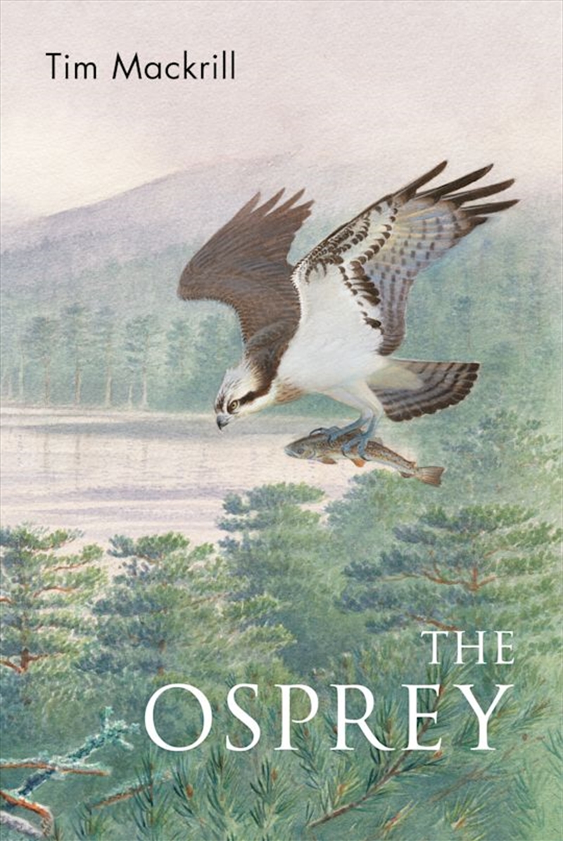 The Osprey/Product Detail/Animals & Nature