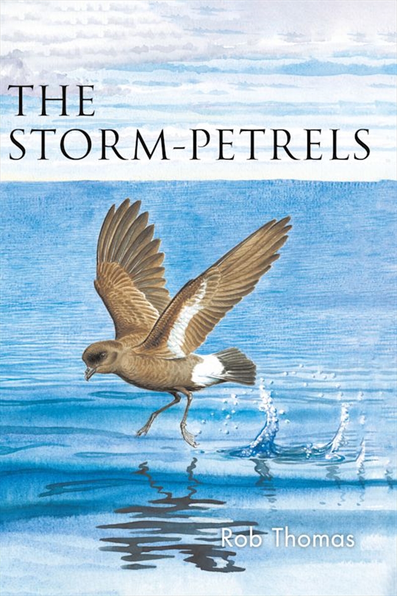 The Storm-petrels/Product Detail/Animals & Nature