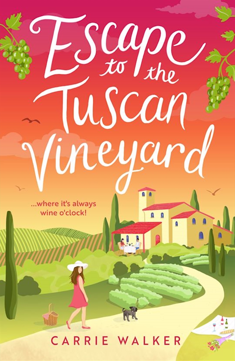 Escape to the Tuscan Vineyard: A brand-new hilarious rom-com for 2024 to whisk you away to Italy/Product Detail/Romance