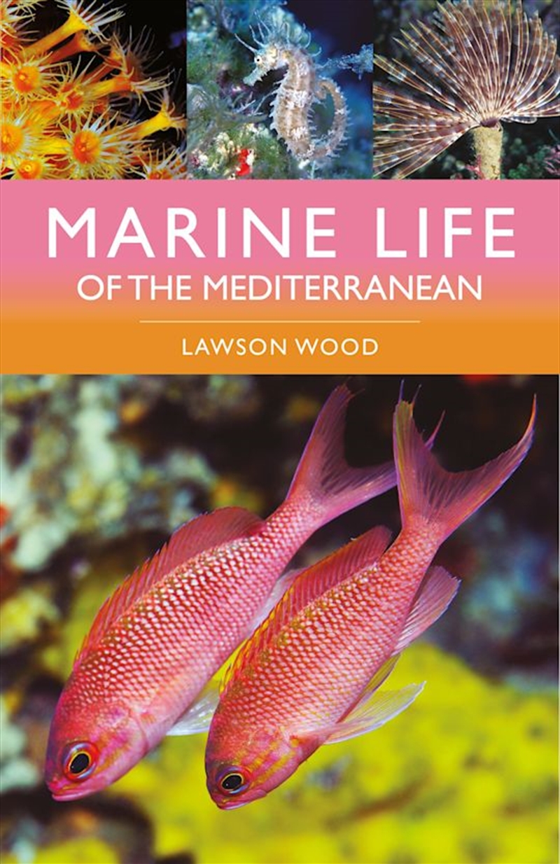 Marine Life of the Mediterranean/Product Detail/Animals & Nature