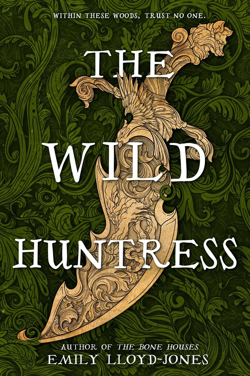 The Wild Huntress/Product Detail/Childrens Fiction Books