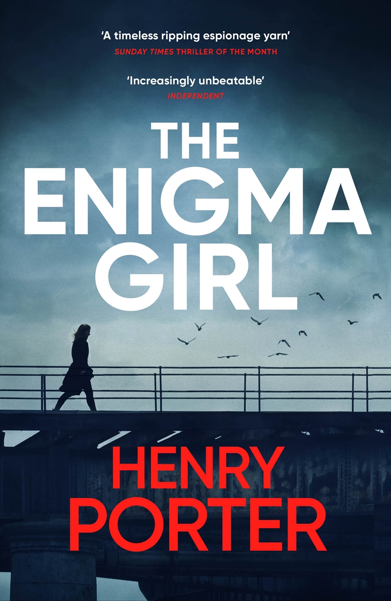 The Enigma Girl/Product Detail/Thrillers & Horror Books