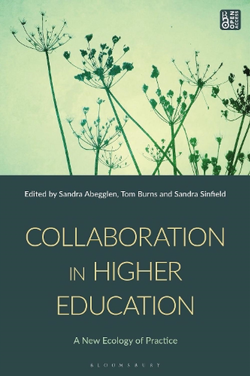 Collaboration in Higher Education/Product Detail/Reading