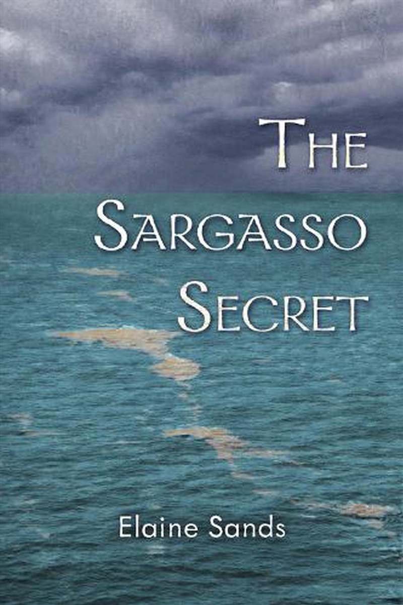 The Sargasso Secret/Product Detail/General Fiction Books