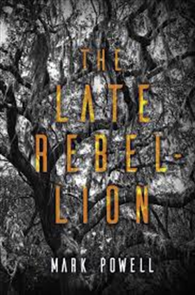 The Late Rebellion/Product Detail/Modern & Contemporary