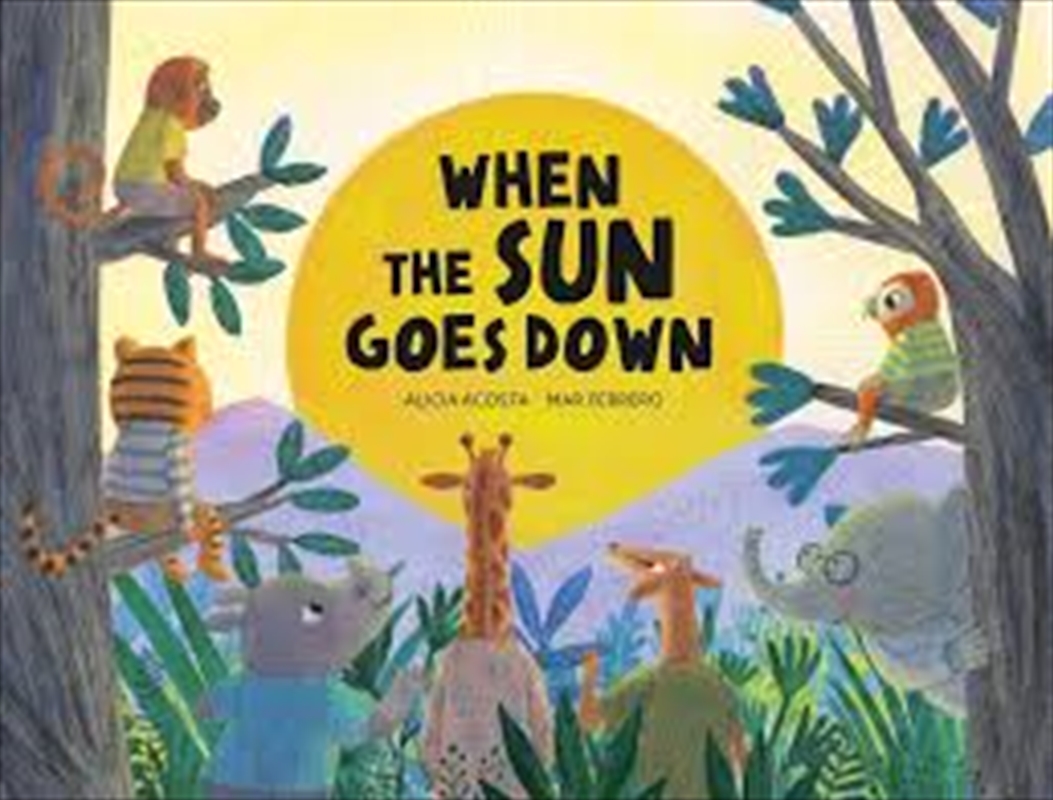 When the Sun Goes Down/Product Detail/Childrens Fiction Books