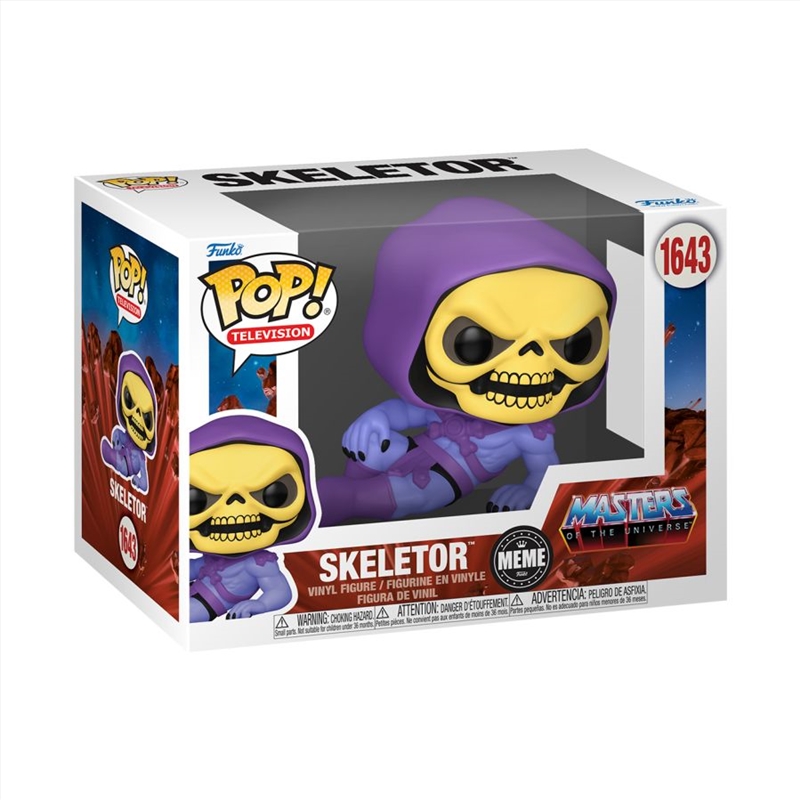 Memes - Skeletor Meme Pop!/Product Detail/Standard Pop Vinyl