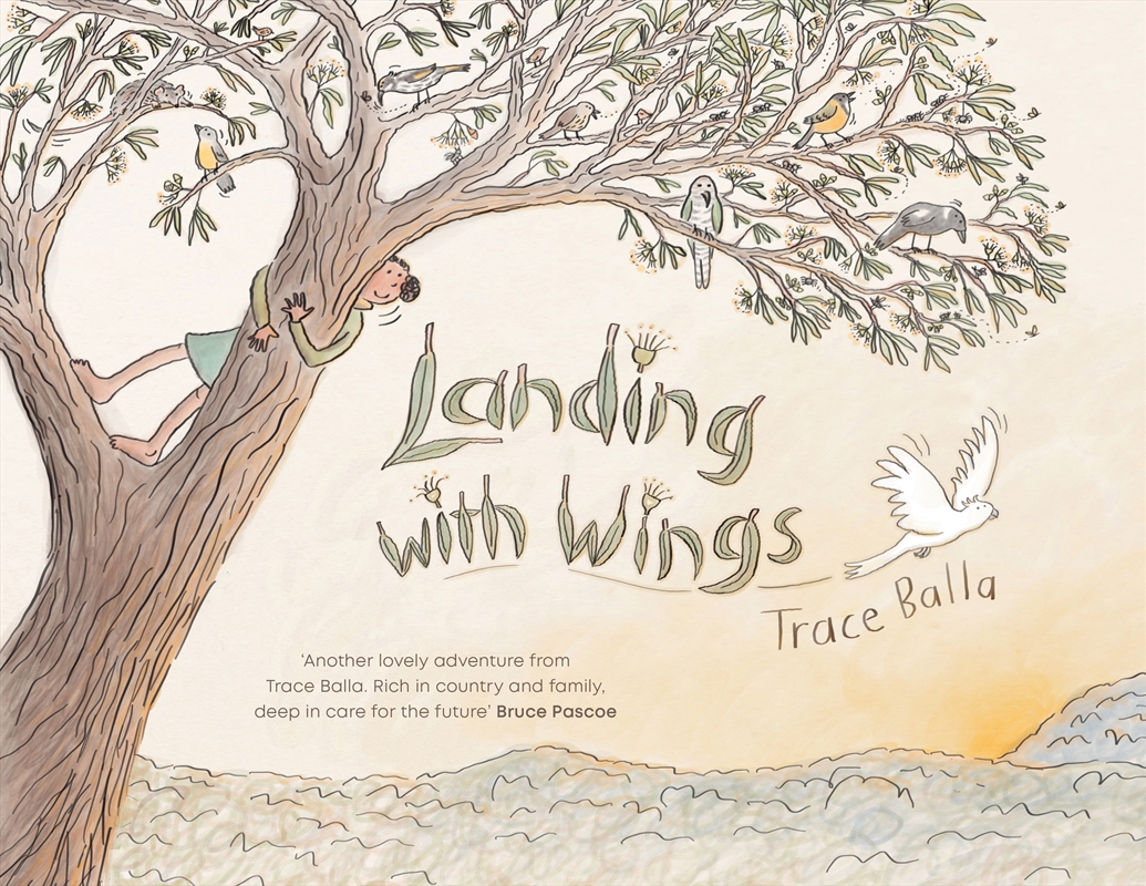 Landing with Wings/Product Detail/Early Childhood Fiction Books