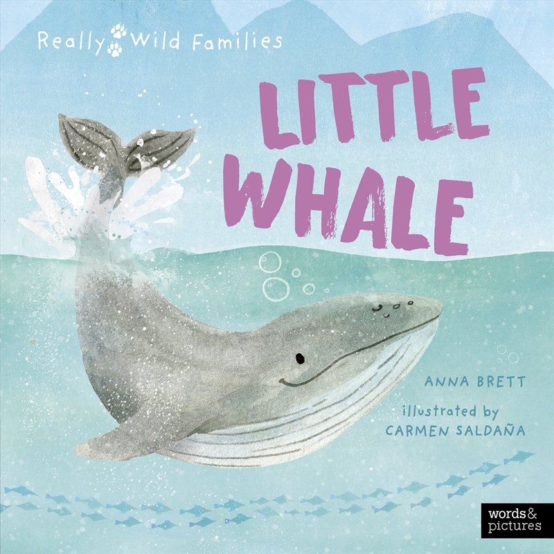 Little Whale/Product Detail/Childrens Fiction Books