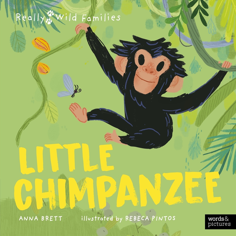 Little Chimpanzee/Product Detail/Childrens Fiction Books