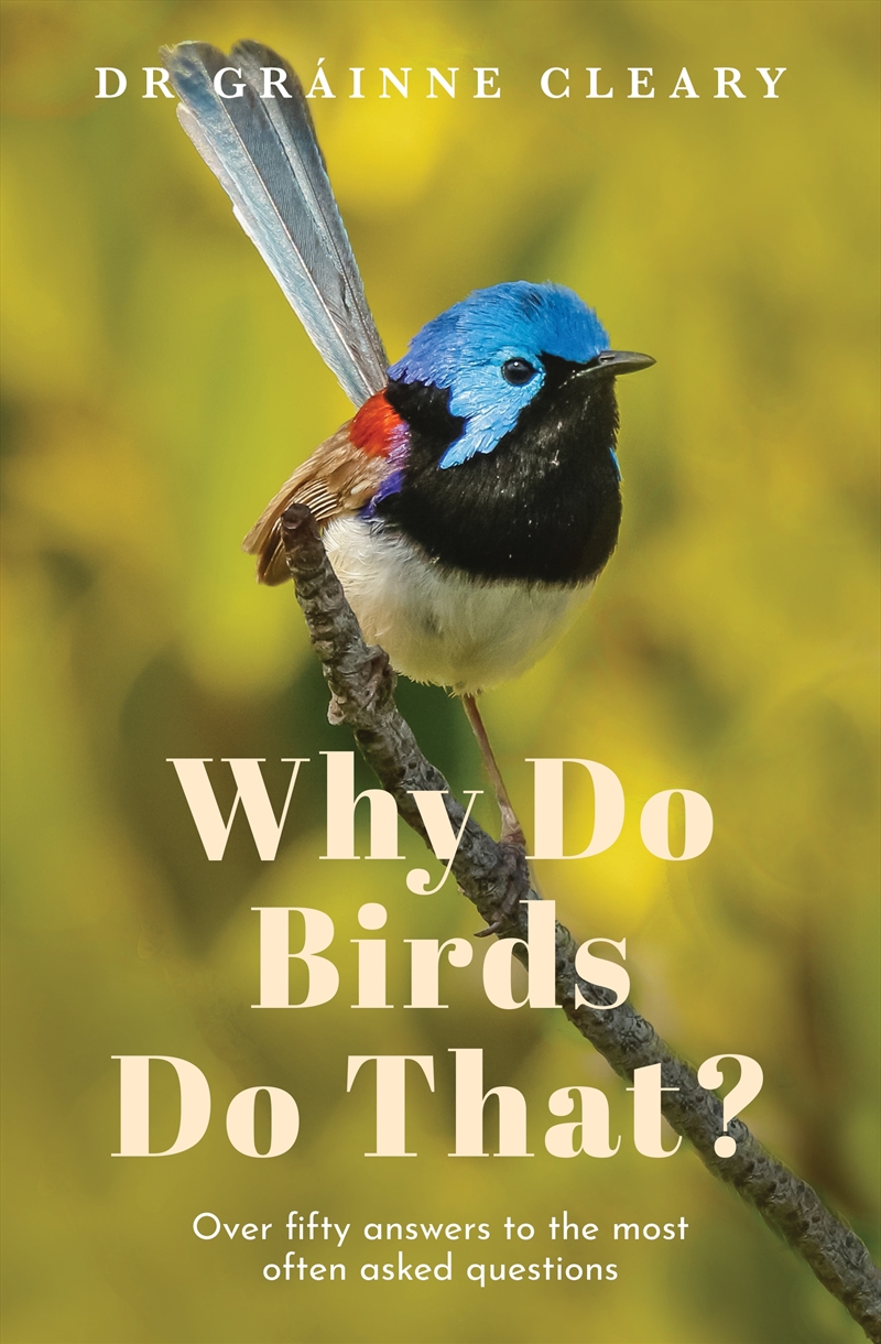 Why Do Birds Do That?/Product Detail/Animals & Nature