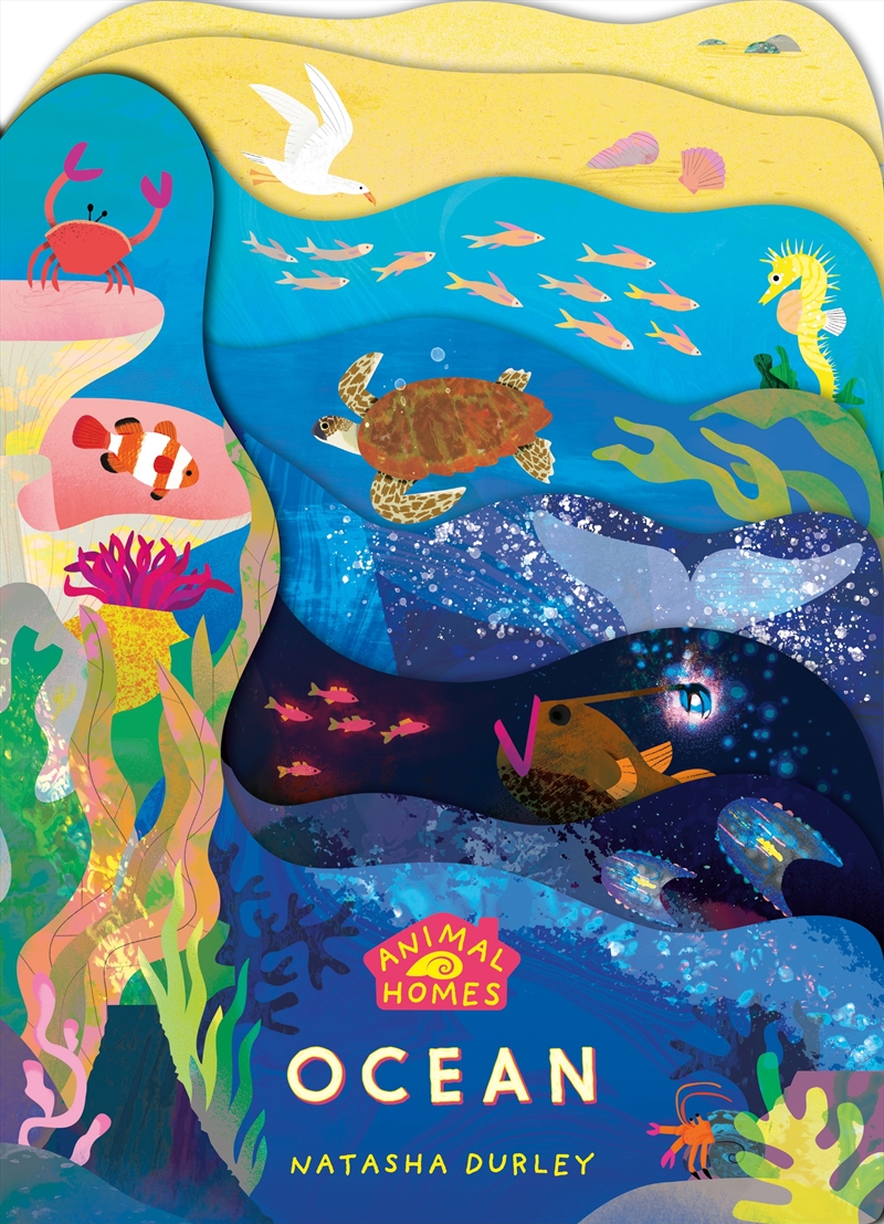 Ocean: Animal Homes/Product Detail/Early Childhood Fiction Books