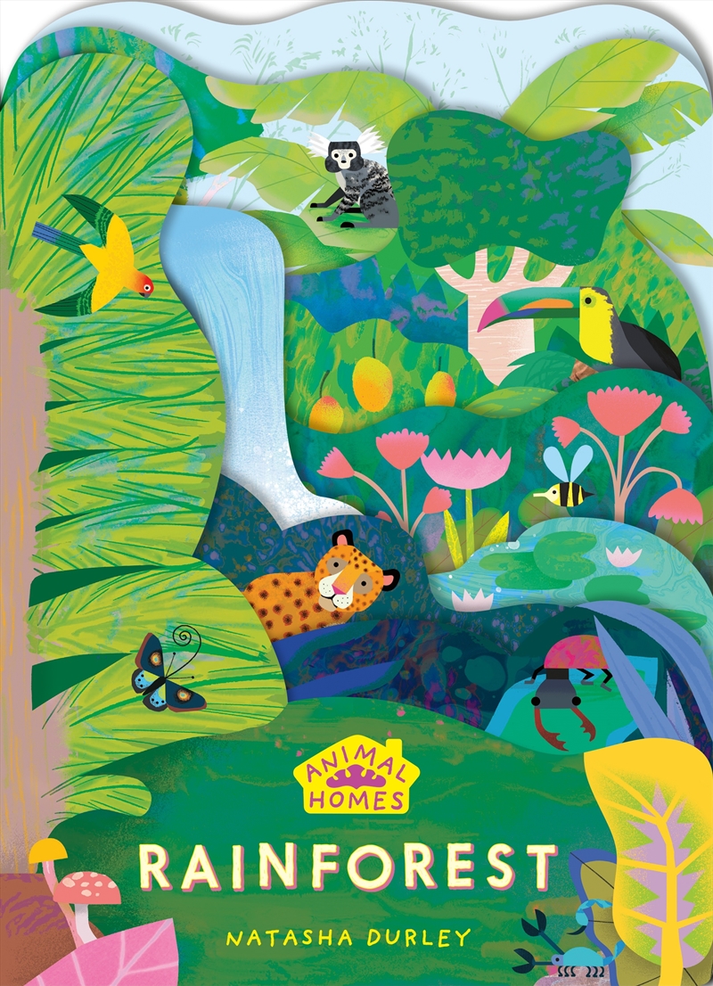 Rainforest: Animal Homes/Product Detail/Early Childhood Fiction Books