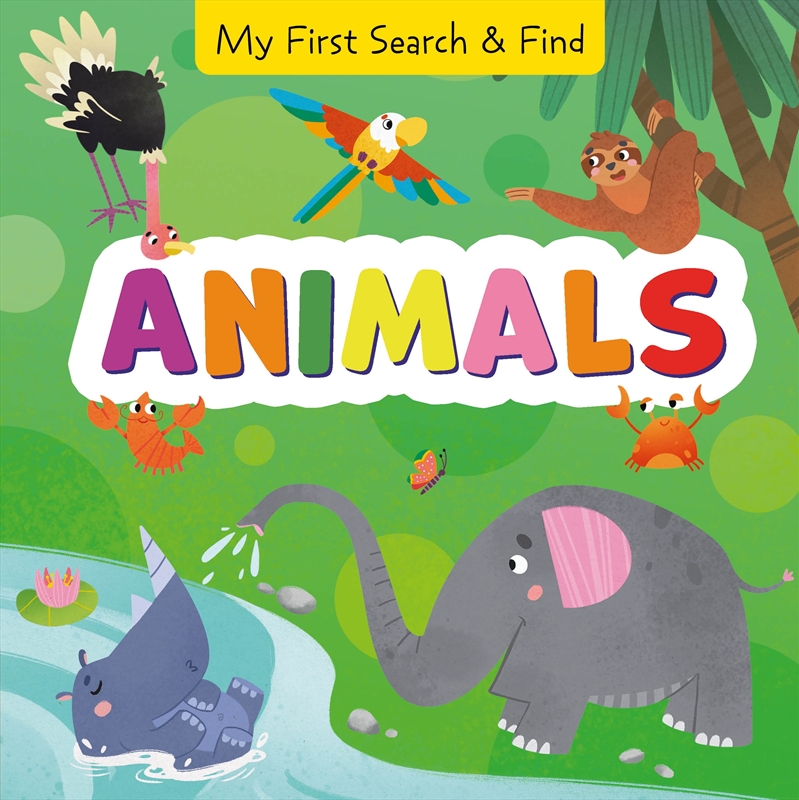 Animals (My First Search and Find)/Product Detail/Early Childhood Fiction Books