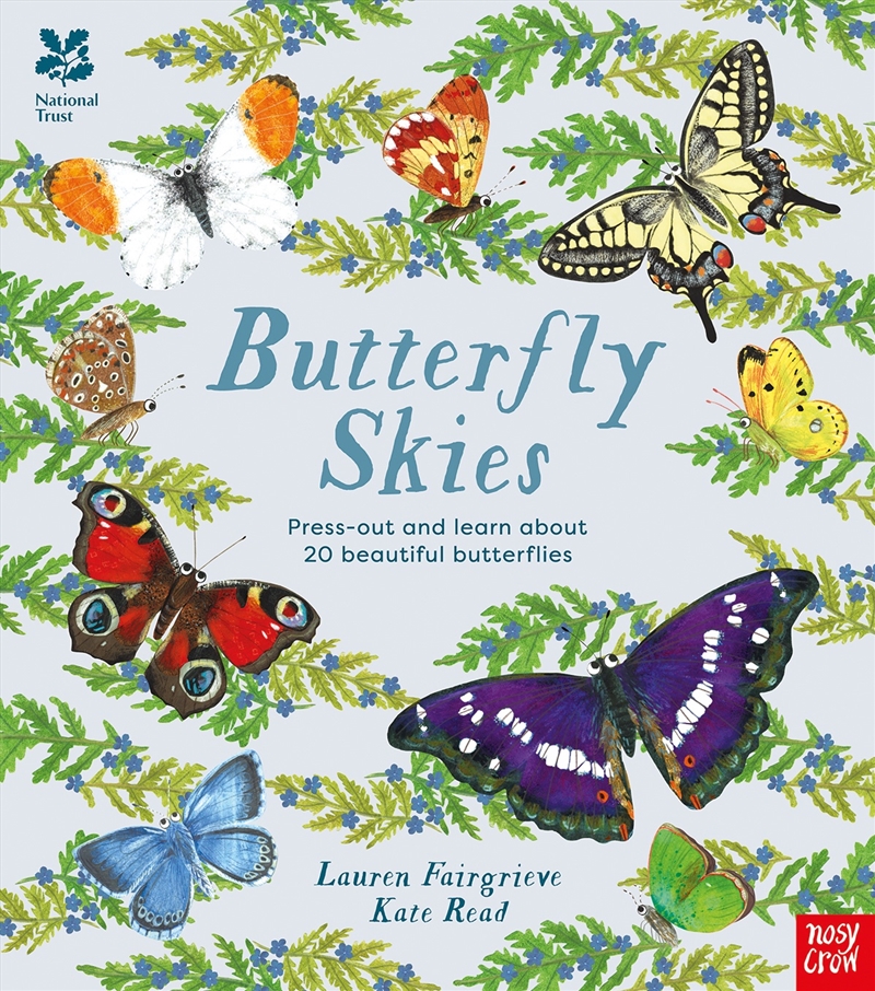 Butterfly Skies (National Trust)/Product Detail/Early Childhood Fiction Books