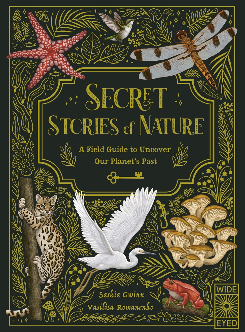 Secret Stories of Nature/Product Detail/Children