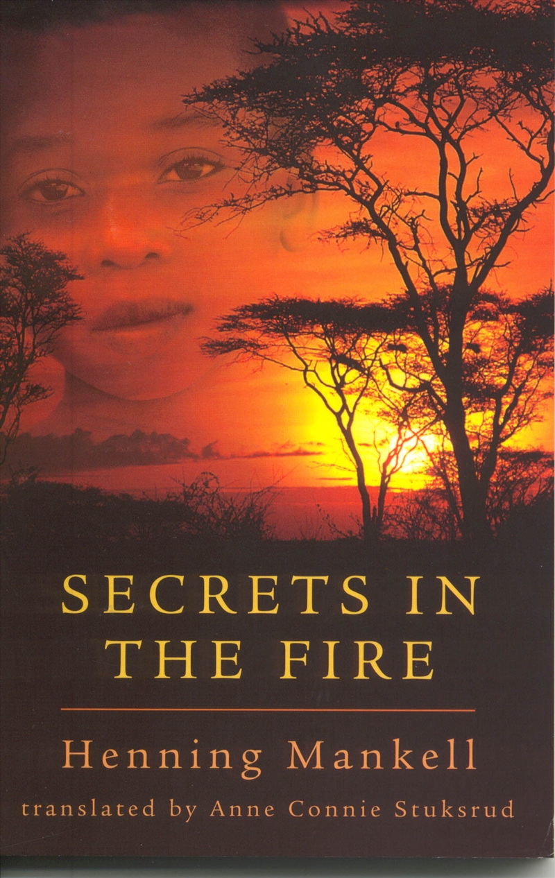 Secrets in the Fire/Product Detail/Childrens Fiction Books