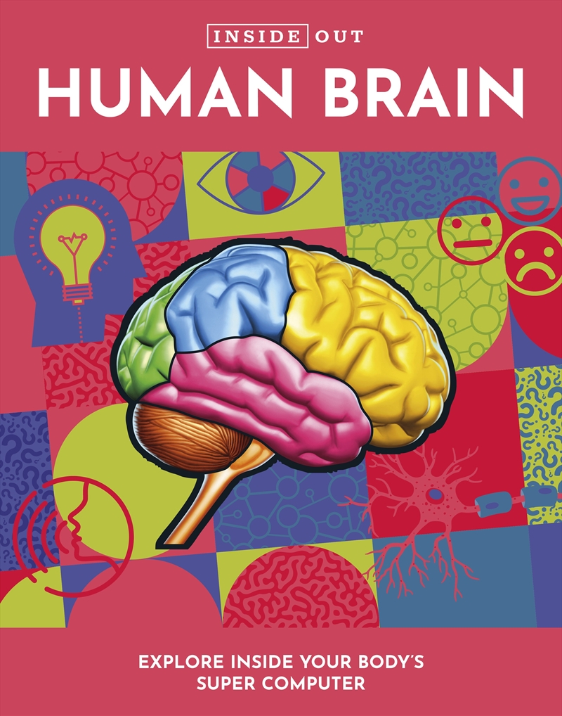 Human Brain (Inside Out)/Product Detail/Children