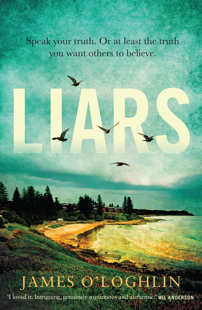 Liars/Product Detail/Crime & Mystery Fiction