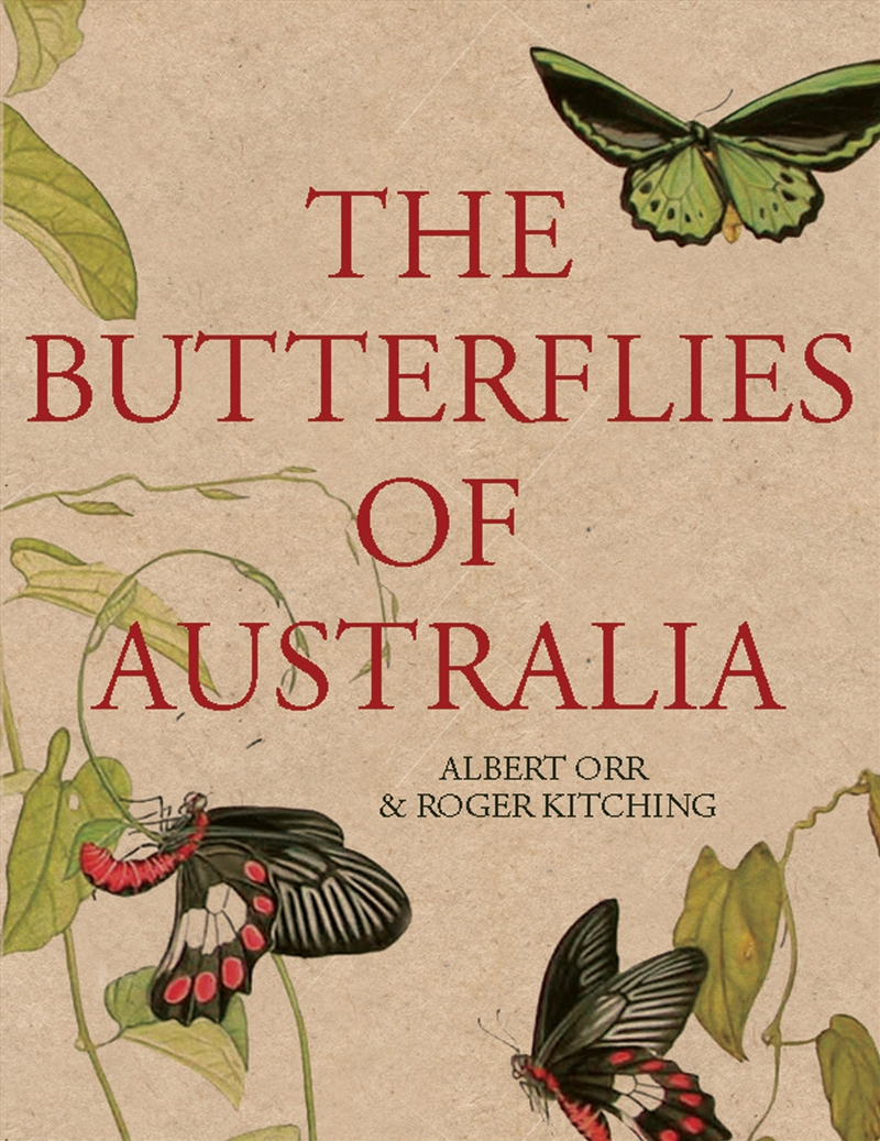 The Butterflies of Australia/Product Detail/Animals & Nature