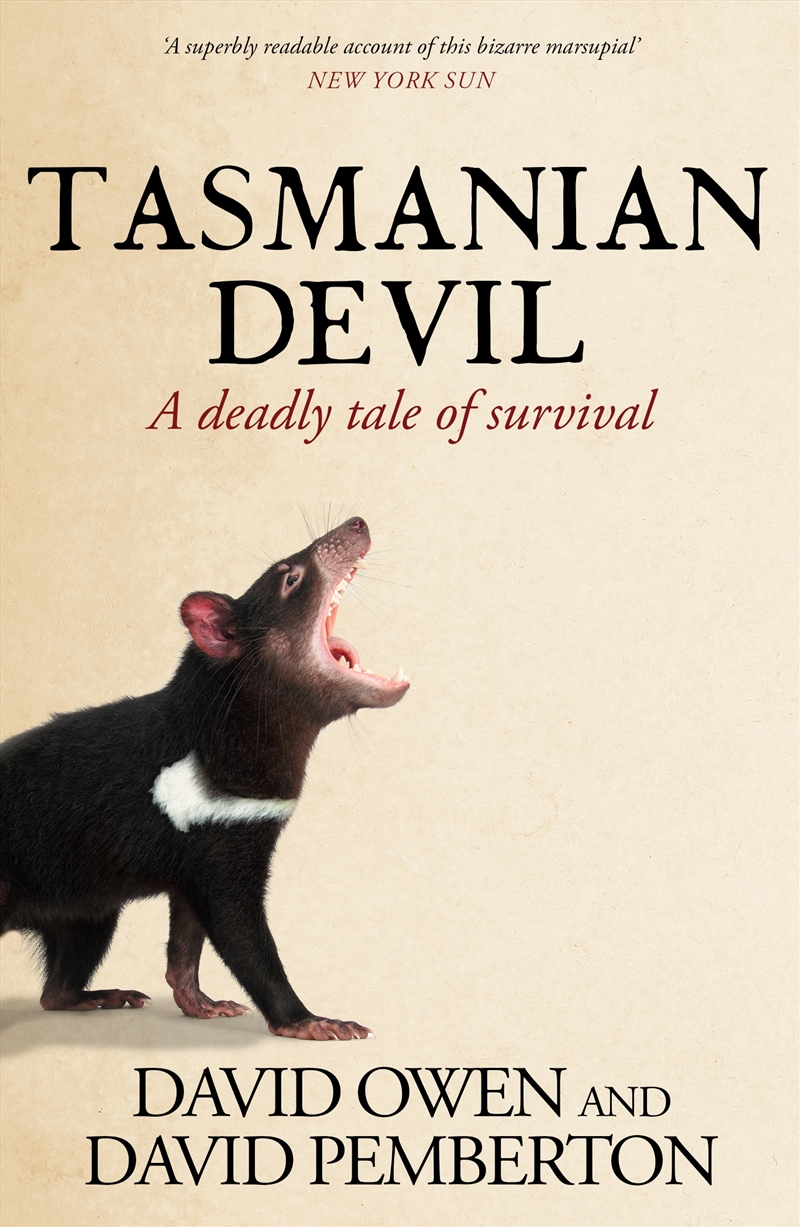 Tasmanian Devil/Product Detail/Animals & Nature