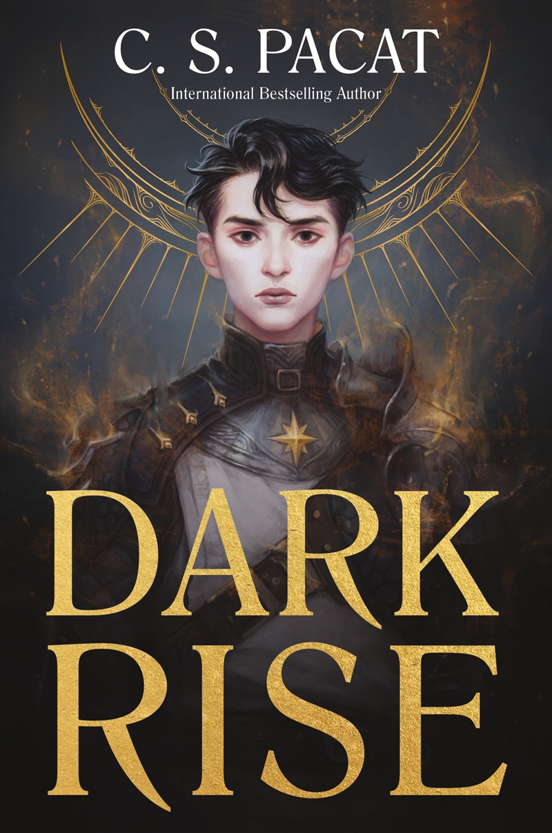 Dark Rise: Dark Rise 1/Product Detail/Childrens Fiction Books