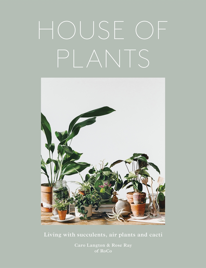 House of Plants/Product Detail/Reading