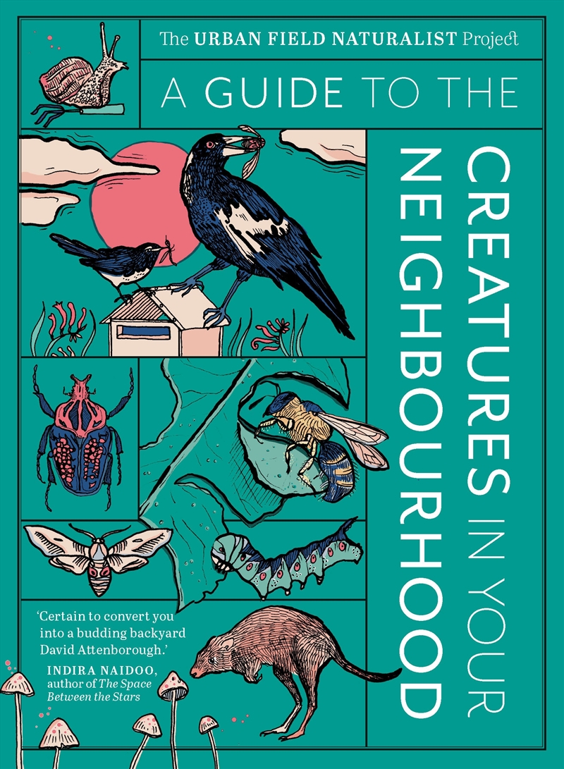 A Guide to the Creatures in Your Neighbourhood/Product Detail/Animals & Nature