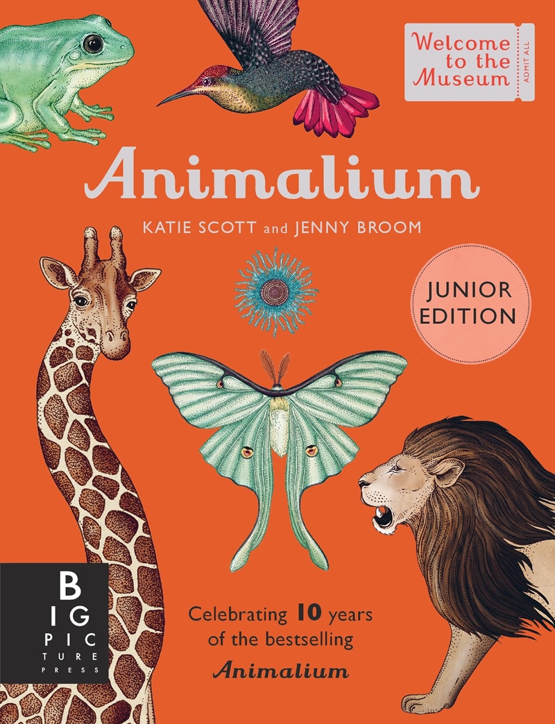 Animalium (Junior Edition)/Product Detail/Childrens