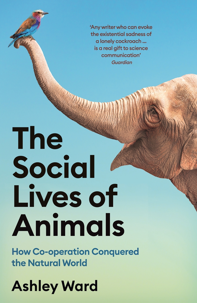 The Social Lives of Animals/Product Detail/Society & Culture