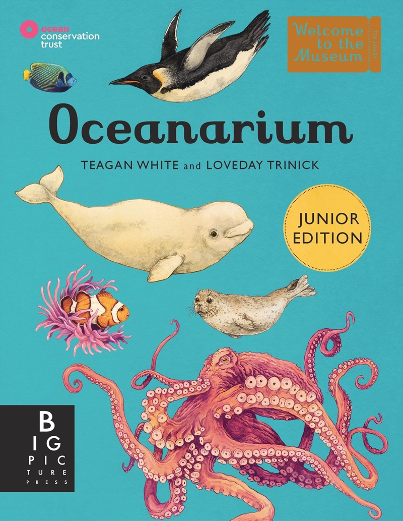 Oceanarium (Junior Edition)/Product Detail/Animals & Nature