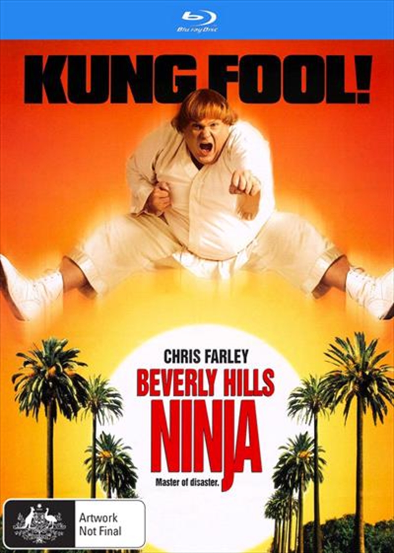 Beverly Hills Ninja/Product Detail/Action