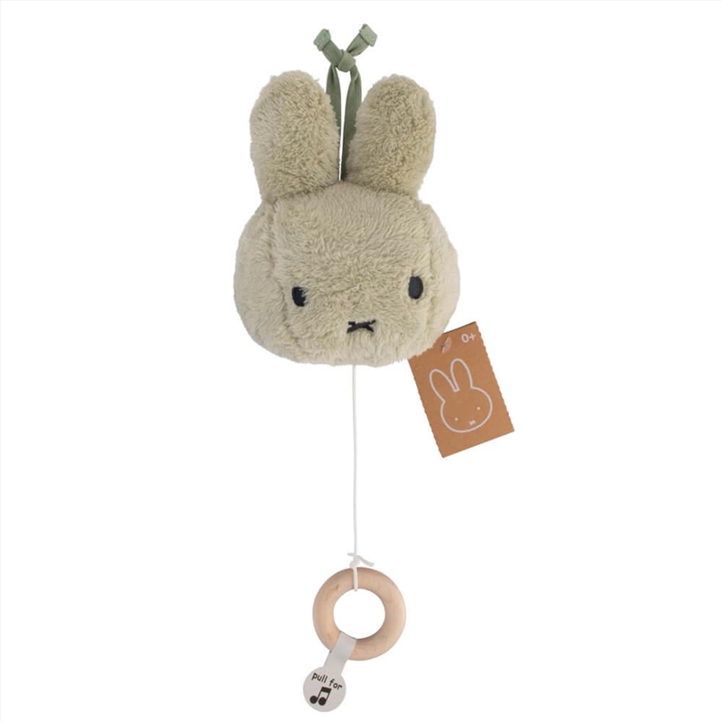 Miffy Fluffy Green Musical Pul/Product Detail/Toys