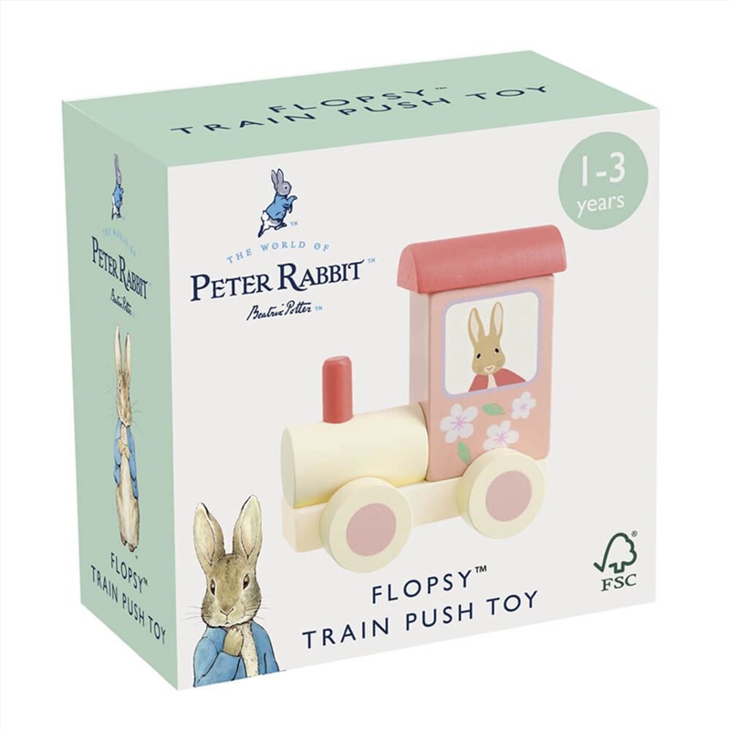 Flopsy Train Push Toy/Product Detail/Toys