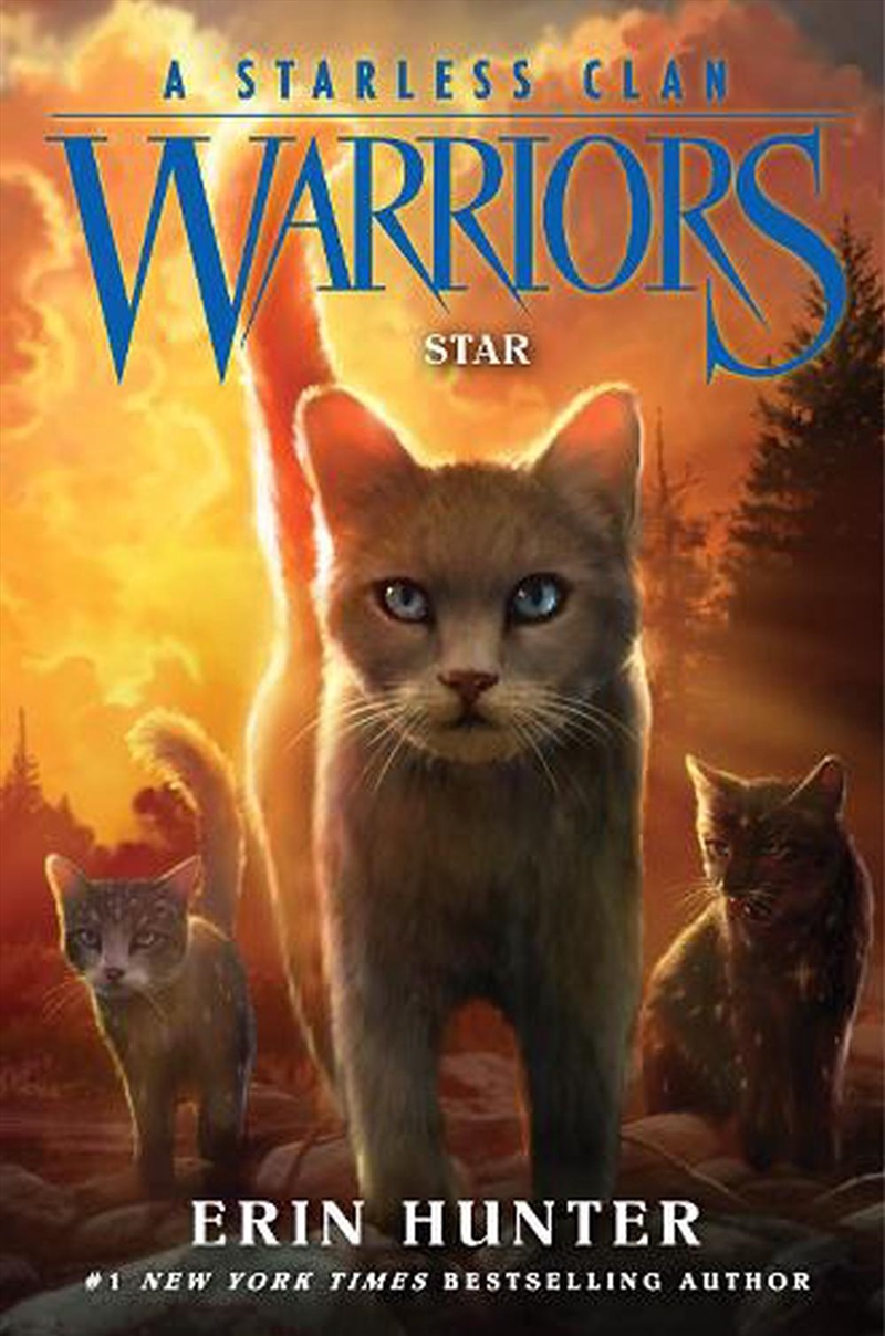 Warriors A Starless Clan 6 Star/Product Detail/Childrens Fiction Books