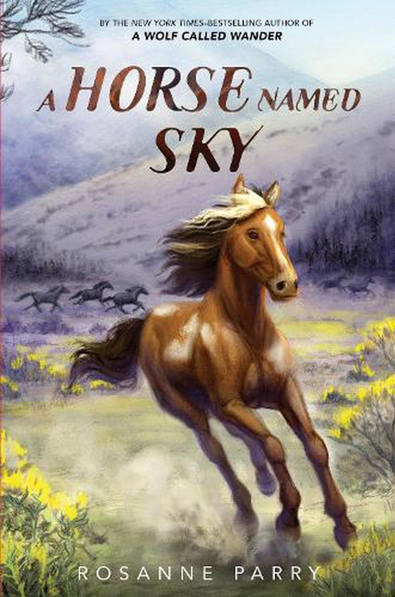 Horse Named Sky/Product Detail/Childrens Fiction Books