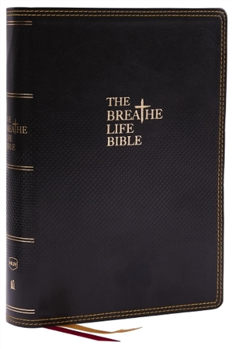 Breathe Life Holy Bible Fait/Product Detail/Religion & Beliefs