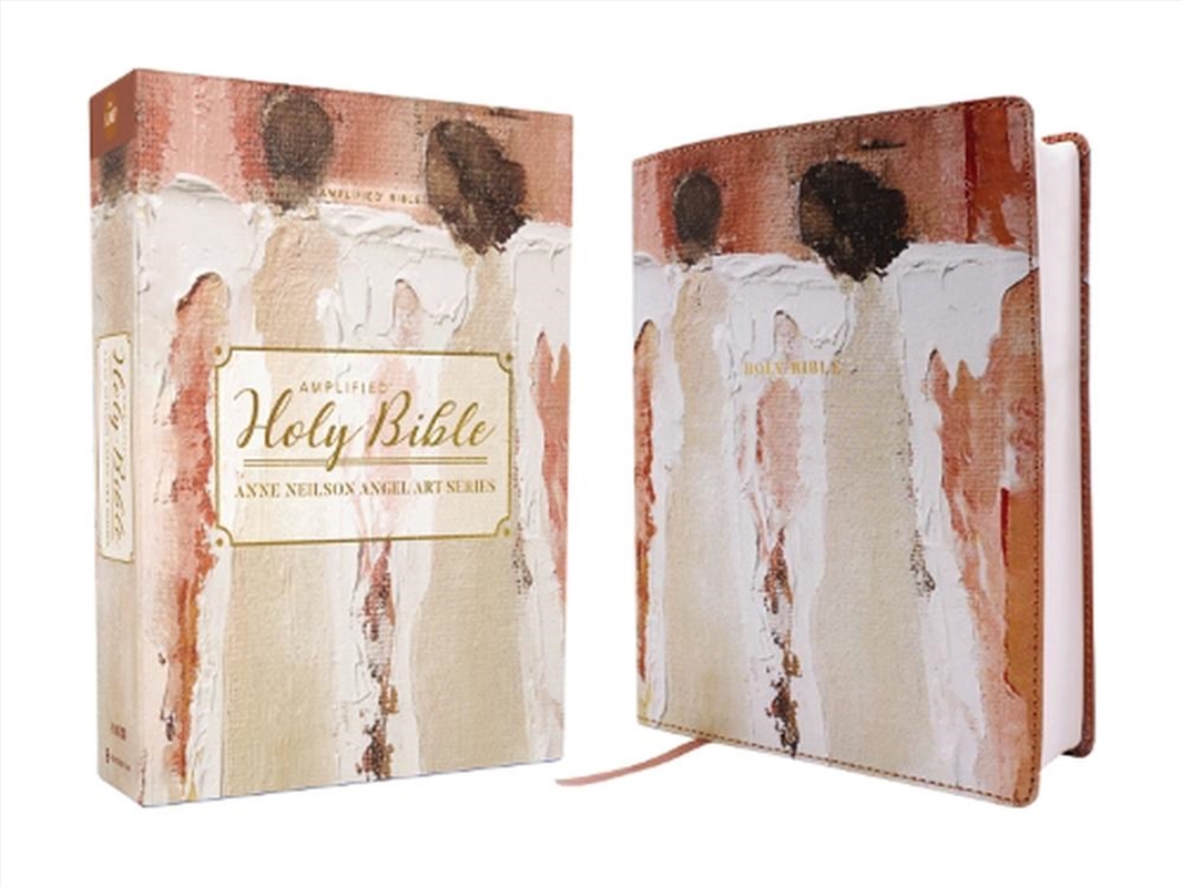 Amplified Holy Bible [Blush]/Product Detail/Religion & Beliefs