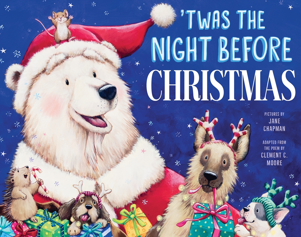 Twas The Night Before Christmas/Product Detail/Childrens Fiction Books