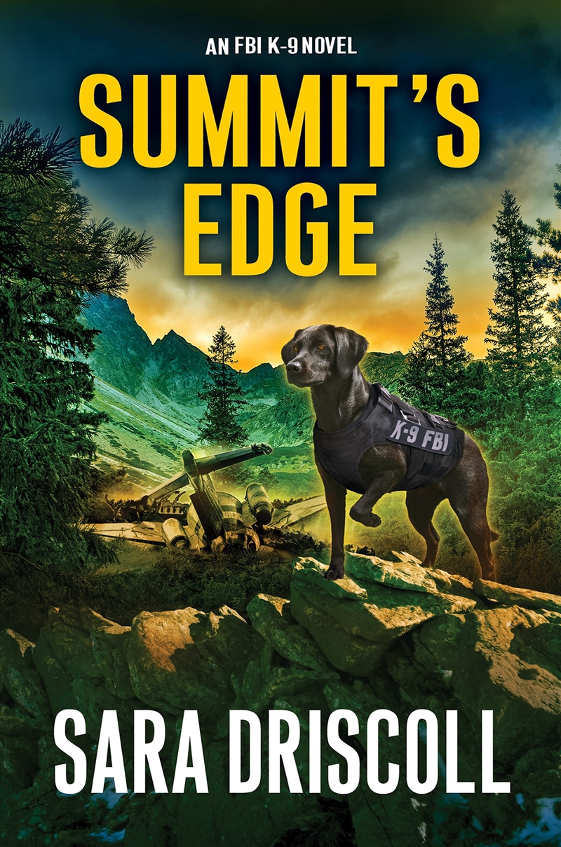 Summit's Edge/Product Detail/Childrens Fiction Books